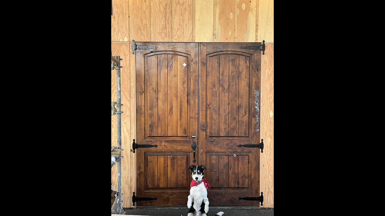 At Home Tactical Defense Dojo walk-through from new entrance.