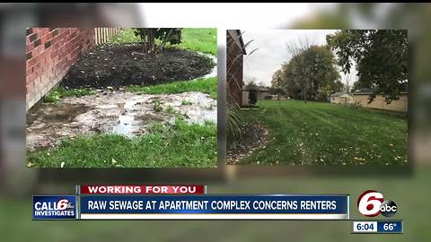 Floating feces at Indianapolis apartment complex results in health citation