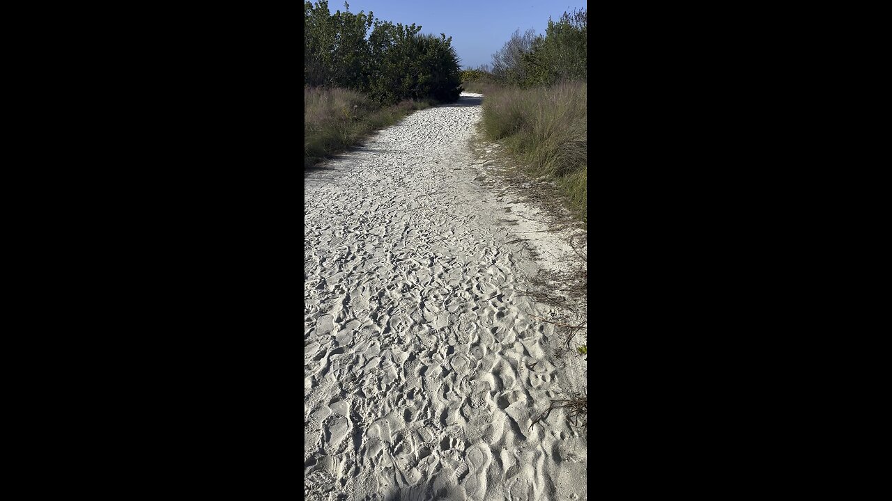 Siesta key Florida