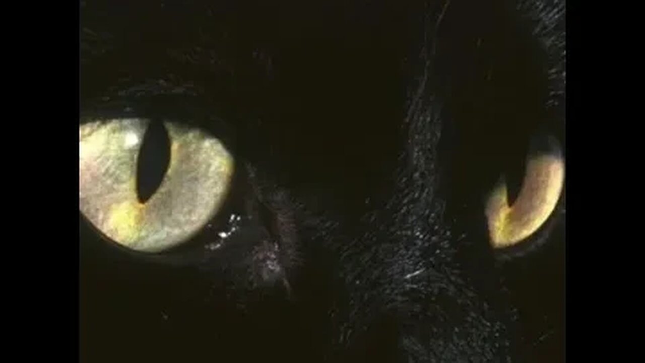 Aytrtn - Black Cat (432hz)