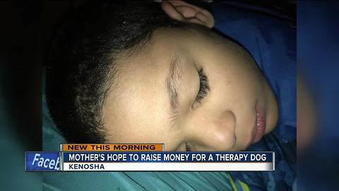 Kenosha mother hopes service dog keeps son alive