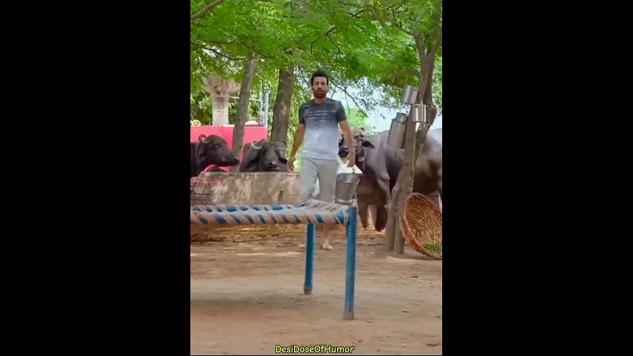 Punjabi comedy