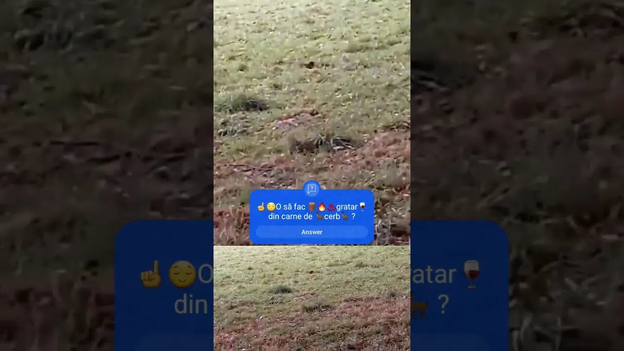 🇬🇧🦌Cerbii 🦌 se plimba liberi prin park și poți merge pe lângă ei în Parcul Warnham, Horsham RH12 3RS