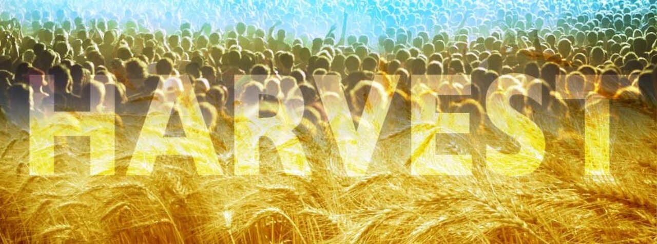 The greatest Harvest will come at the end!