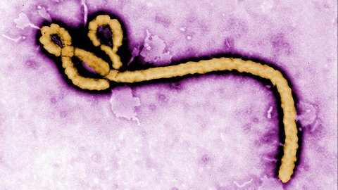 Health Officials Declare New Ebola Outbreak In Central Africa