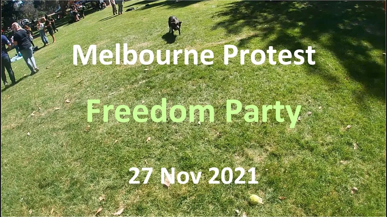 27 Nov 2021 - Melbourne Protest 06: 'Freedom Party' music