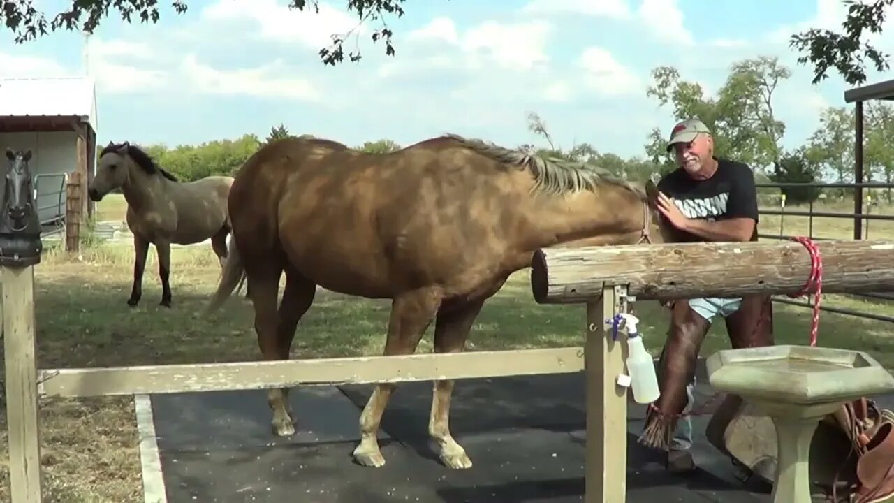 Part 3 of 3 - Riding A Bucking Horse After A Year Of Not Riding - Crazy Horse Tried To Throw Me