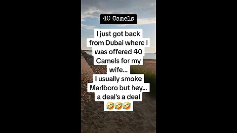 40 Camels