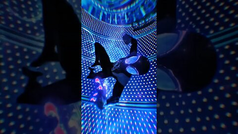 taking miles morales to space #shorts #spiderman #spidermanintothespiderverse #edit #fyp #foryou