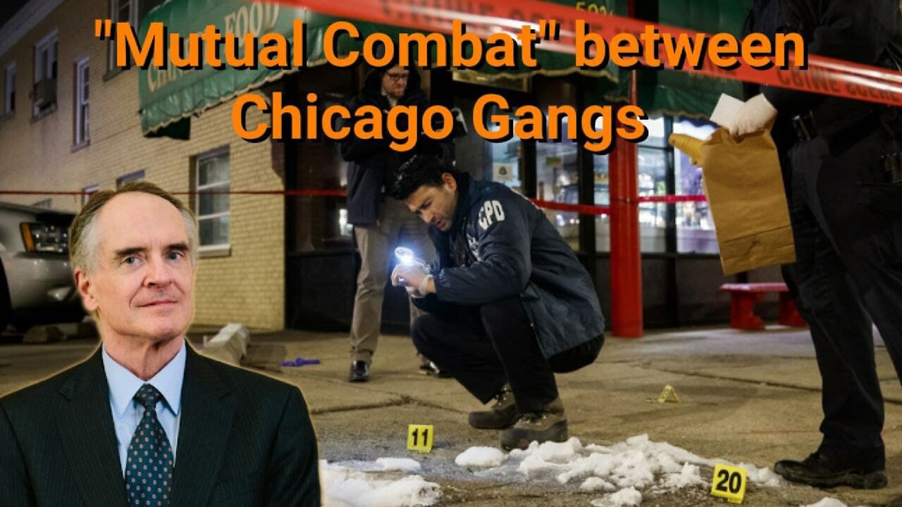 Jared Taylor || "Mutual Combat"between Chicago Gangs