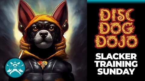 DiscDog Dojo #69 | Slacker Training Sunday