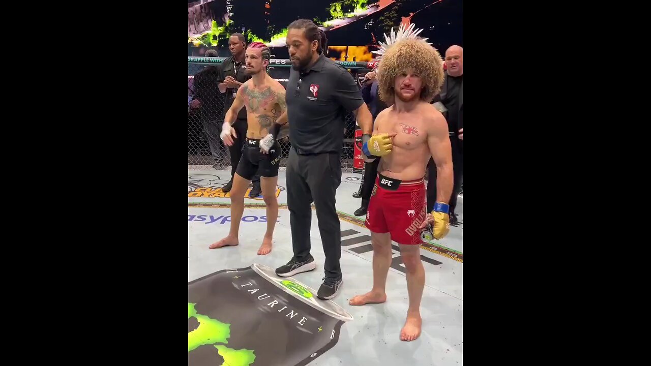 UFC