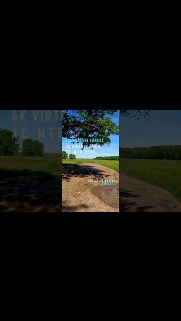 Calugareni Forest | Calugareni, Giurgiu | Ambiental music | 4k Virtual Tour | 🇷🇴