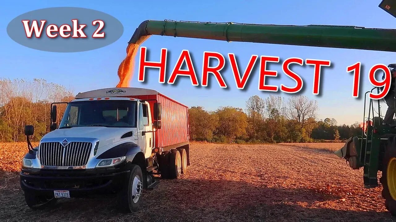 I Crashed the Drone! | Beans Finished, Switching to Corn | Harvest 19 Week 2 – Vlog 20