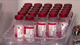 More and more pet parents are skipping vaccines