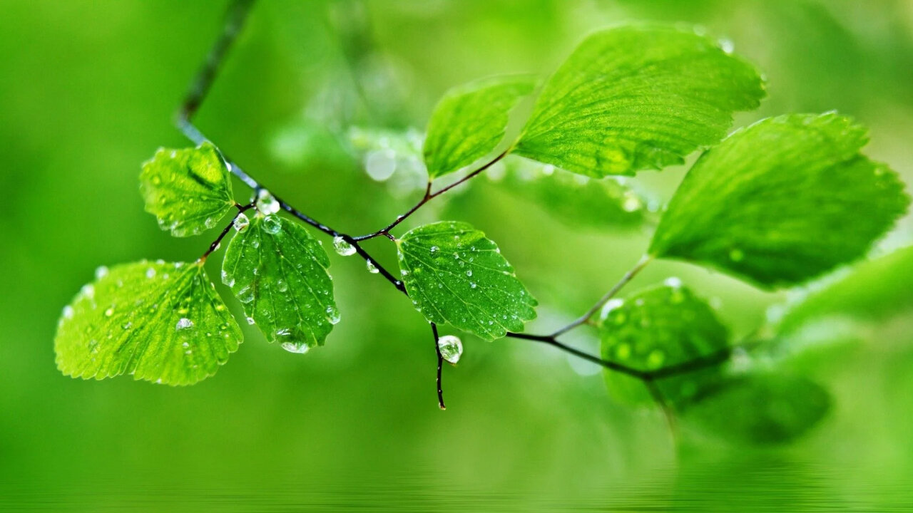 sleep with these sounds of rain and thunder ASMR#3