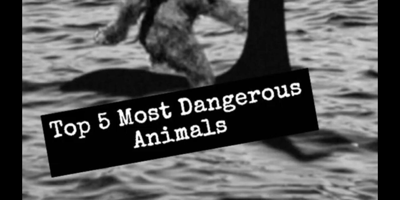 Top 5 most dangerous animal