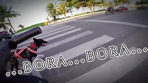 ∑π©R∑π©Å: Devolvendo a bolinha, brincadeira continua ... e depois um 'rolê' de bike