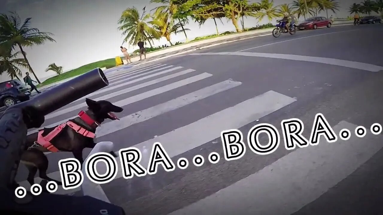 ∑π©R∑π©Å: Devolvendo a bolinha, brincadeira continua ... e depois um 'rolê' de bike