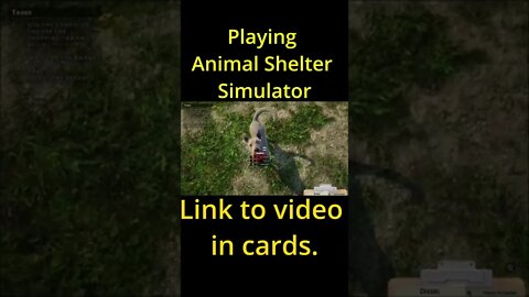 Playing Animal Shelter Simulator 🐶🐕🐱🐈 #shorts #shortsfeed #shortsvideo #shortsvideos #youtubeshorts