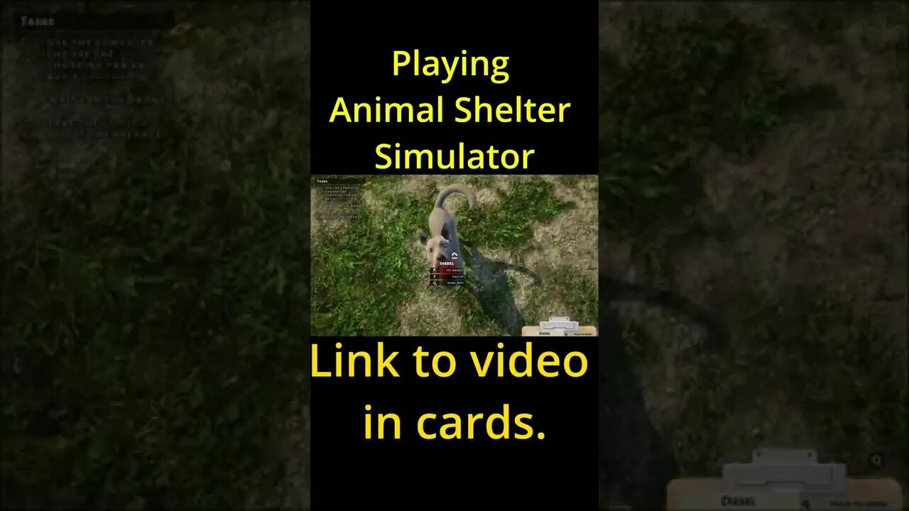 Playing Animal Shelter Simulator πΆππ±π #shorts #shortsfeed #shortsvideo #shortsvideos #youtubeshorts