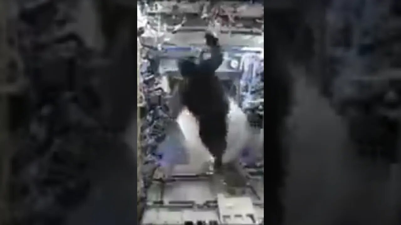 NASA's Gorilla On The ISS Incident