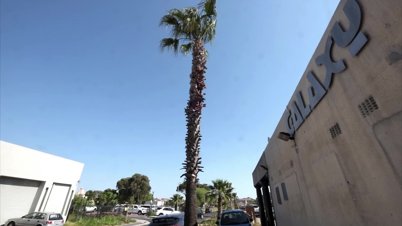 SOUTH AFRICA - Cape Town - Club Galaxy celebrates 40 years of existence (Video) (uV9)