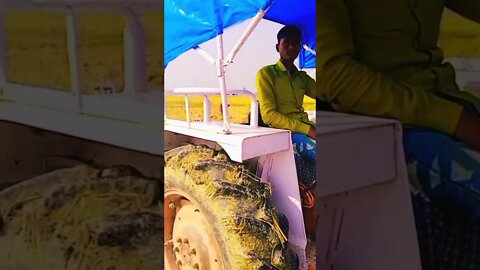 Desi Hero #shorts #youtubeshorts #shortvideo #sorts
