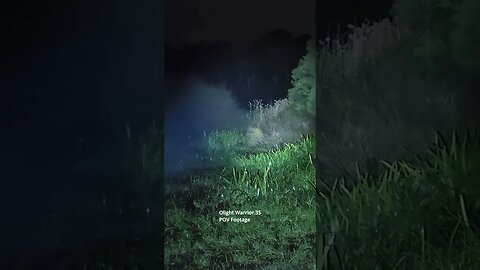 Olight Warrior 3S: nature beamshots