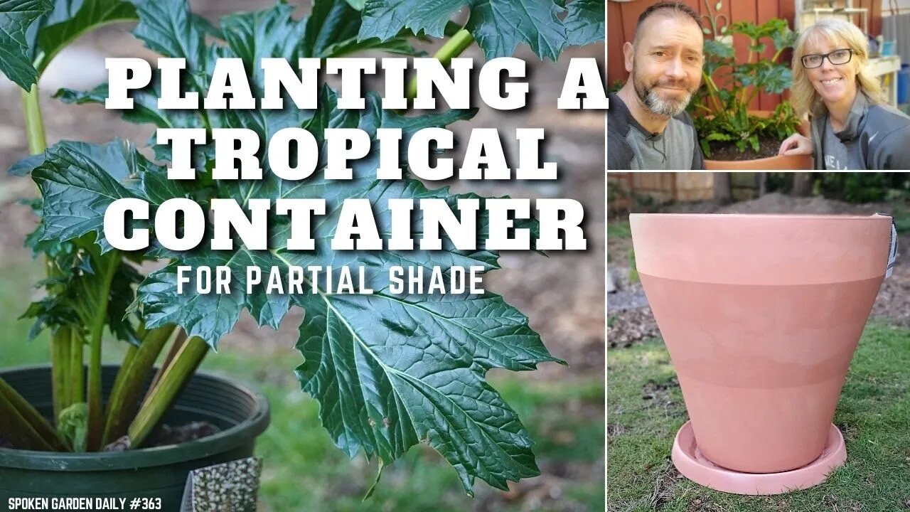 🌴👍 Planting a Tropical Container for Partial Shade - SGD 364 👍🌴