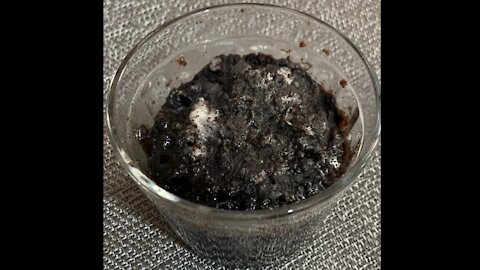 Oreo or Negresco Microwave Cake with just 2 ingredients