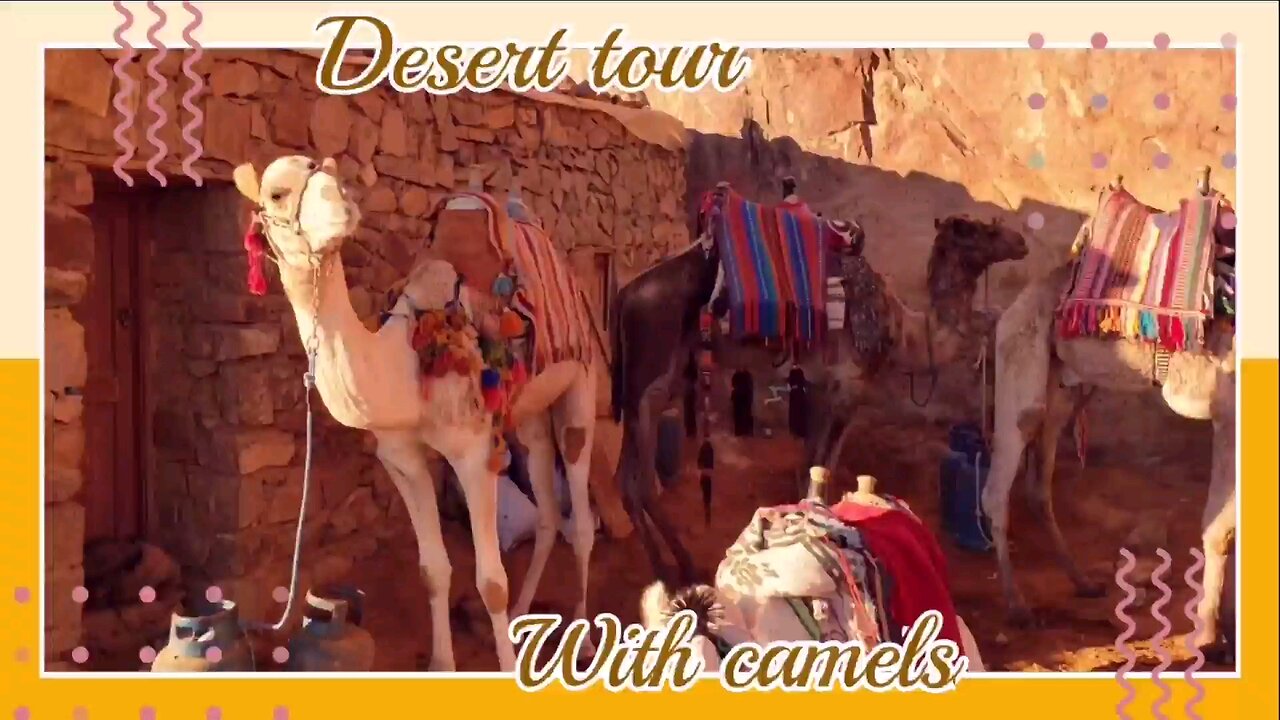 Desert Tour With Camel🐪🐫🐪 DUBAI