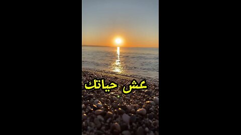 عش حياتك