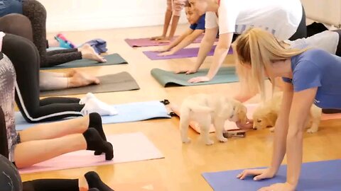 yoga with puppy.