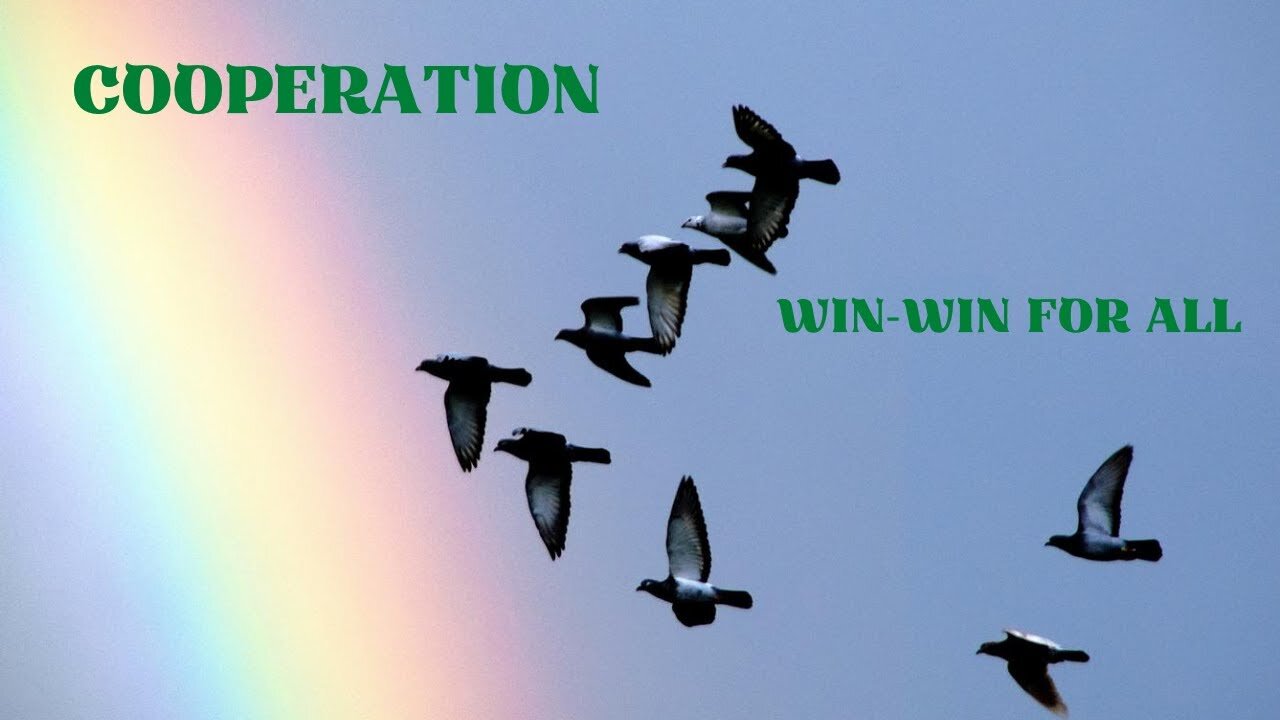 Cooperation - A Win-Win Situation