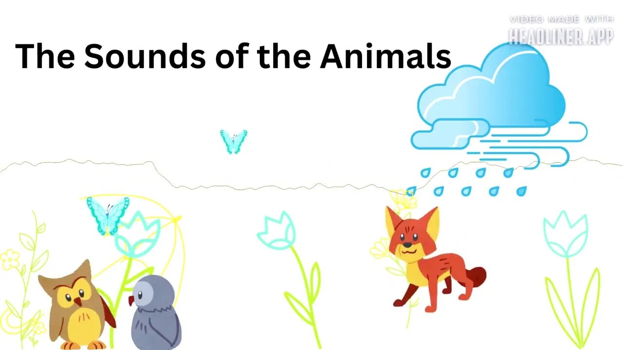 The Sounds of the Animals