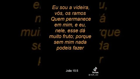 João 15:5