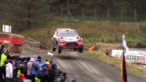 WRC Wales 2019 - Day 2 [HIGHLIGHTS]