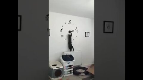 Time Travel
