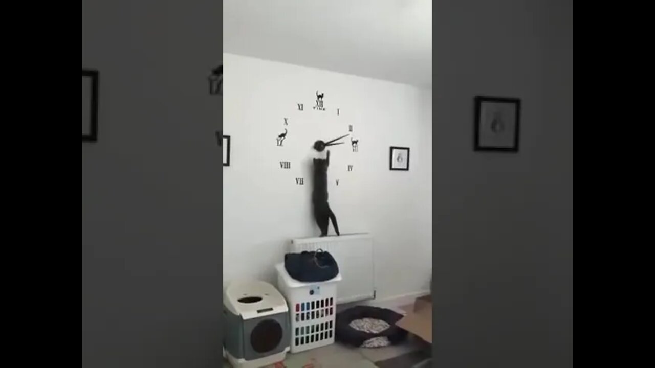 Time Travel