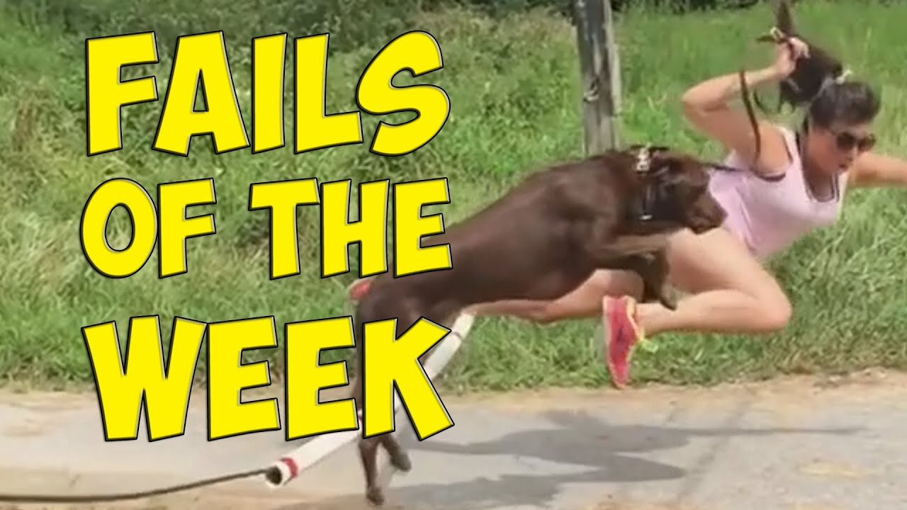 Funny Video Clips - 57 (Funny People and Animals)