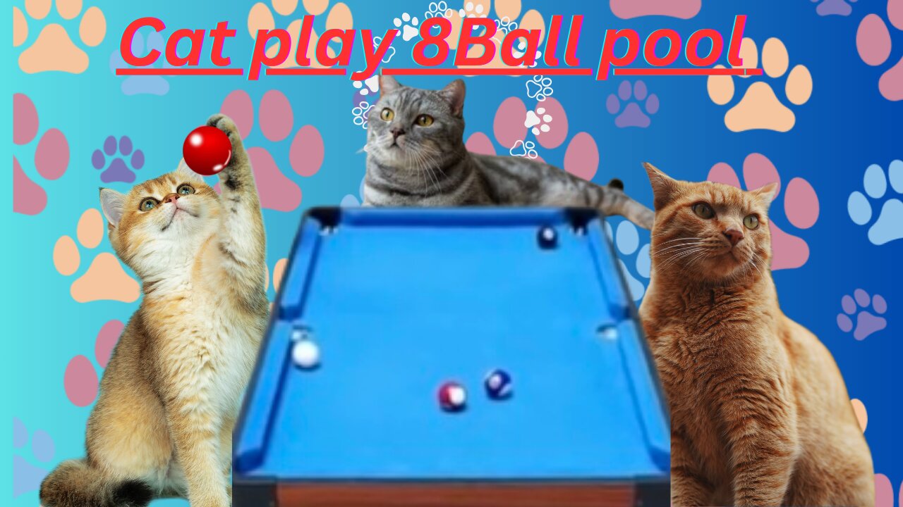 Cute cat play 8 ball 🎱 pool | legendary 8Ball pool