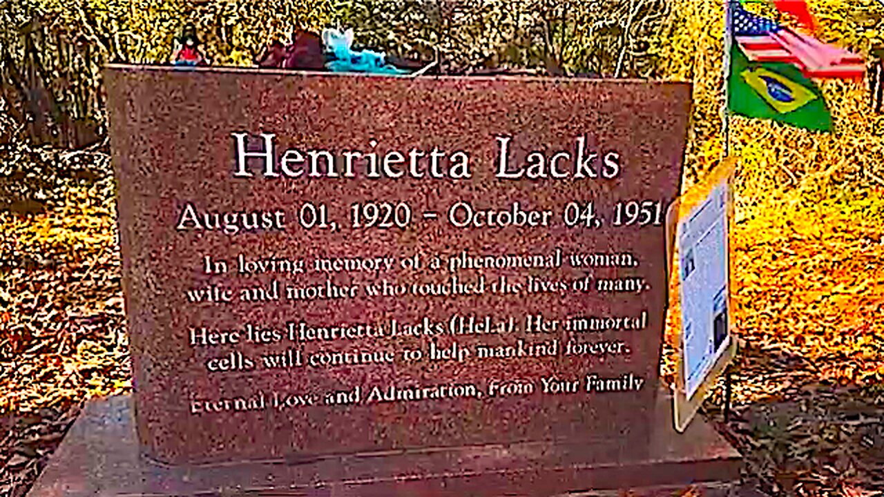 Visiting The Gravesite And Childhood Home || Of Henrietta Lacks