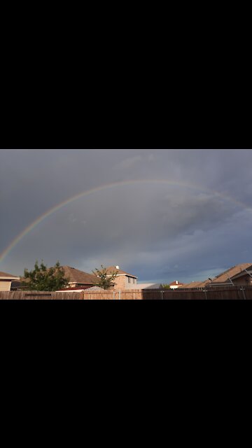 Claire Bear &Tucker Carlson Make Dust