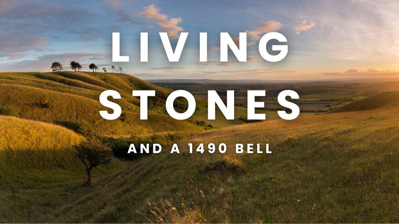 The Sound of Your Family Tree and the Bricks Which Hold Onto Them
