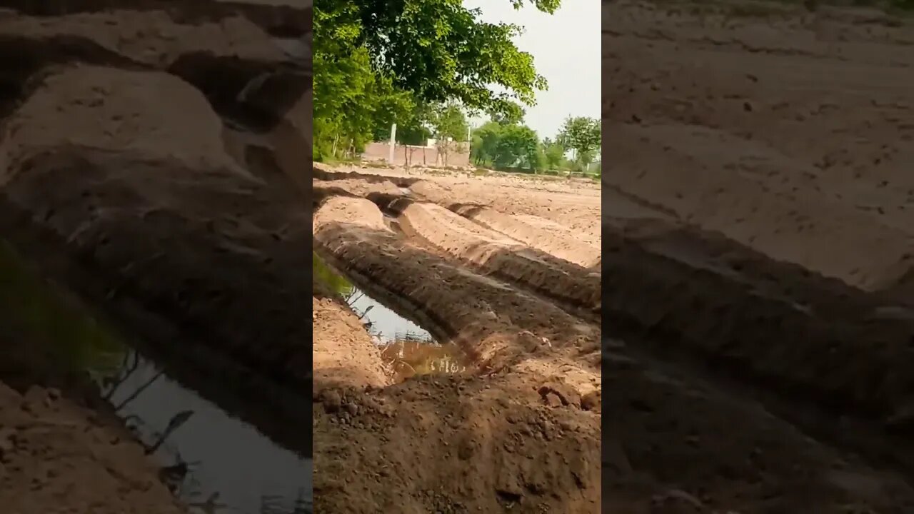 کاشت کاری کا کام