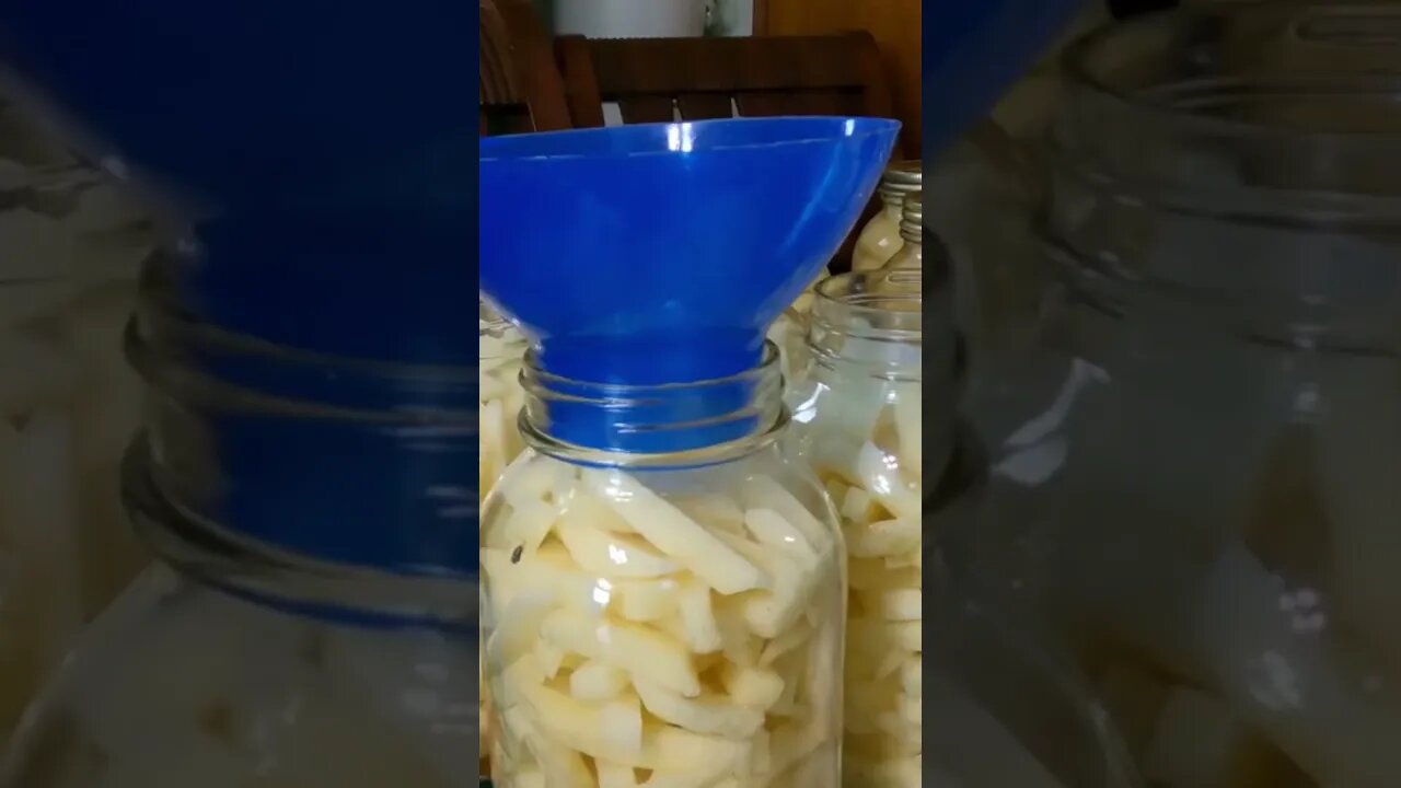 Canning French Fries 🍟