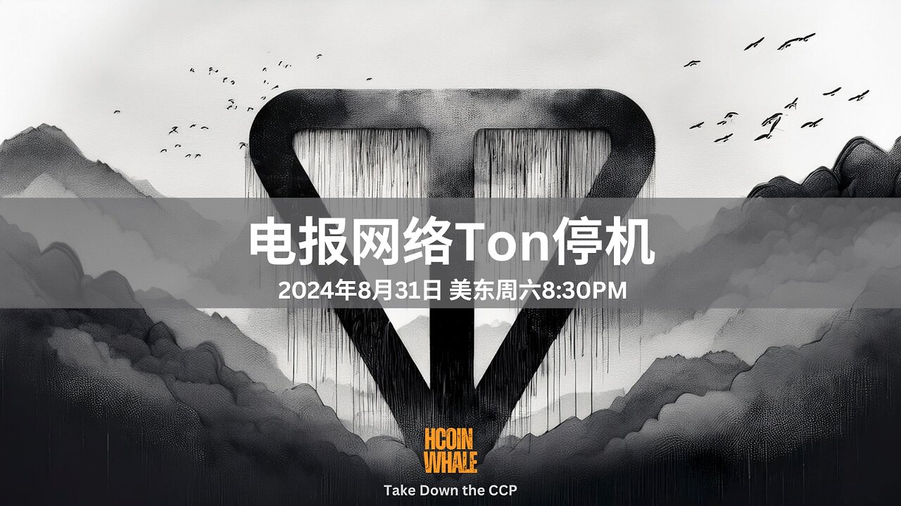 #HCoinWhale EP80 AUG 31, 2024 电报网络Ton停机