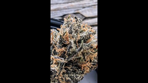 PURPLE LABEL JACK HERER