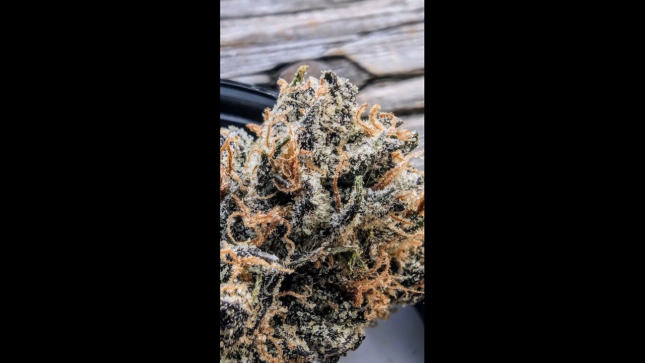 PURPLE LABEL JACK HERER